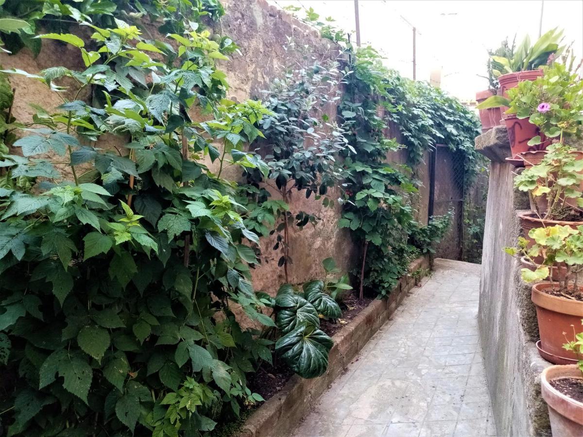Casa Da Judiaria Velha Hotel Viseu Ngoại thất bức ảnh