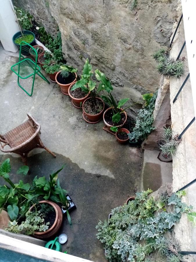 Casa Da Judiaria Velha Hotel Viseu Ngoại thất bức ảnh