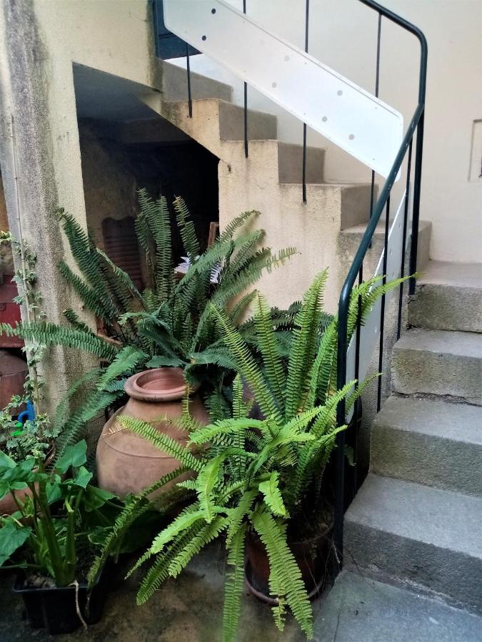 Casa Da Judiaria Velha Hotel Viseu Ngoại thất bức ảnh