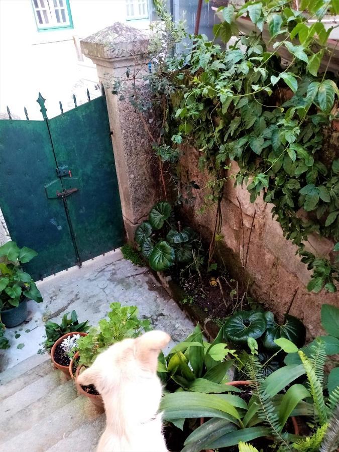 Casa Da Judiaria Velha Hotel Viseu Ngoại thất bức ảnh